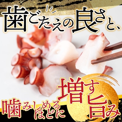 【北海道根室産】刺身用たこ足1本(1kg以上) A-14228