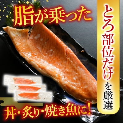トラウトサーモン1kg&とろサーモンハラミ1.5kg B-09007