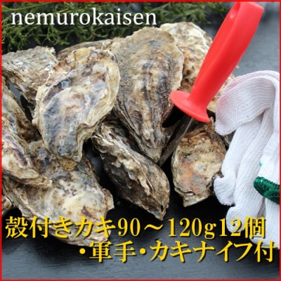 【北海道根室産】殻付カキ90～120g×12個 A-57055