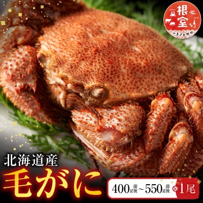 毛かに400g前後～550g前後×1尾 B-36021