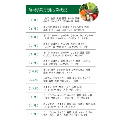 天草旬の野菜(7～10品目)&加工品 オリジナルセット_S047-001A