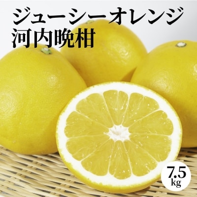 ジューシーオレンジ 7.5kg 河内晩柑(先行受付)_S053-001A