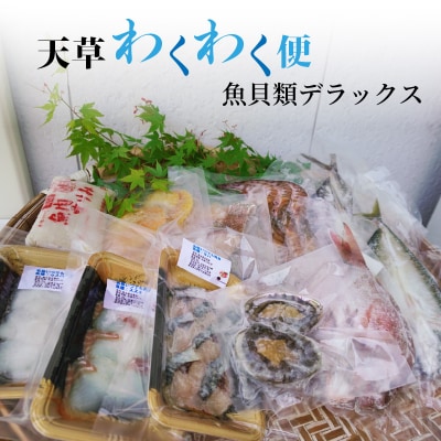 天草わくわく便 魚貝類デラックス(活きあわび、車海老パックなど)_S059-002A