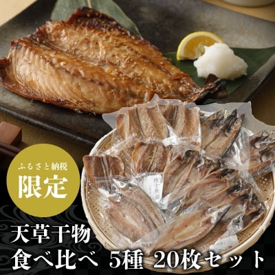 ふるさと納税限定 天草干物食べ比べ 5種 20枚セット_S078-001