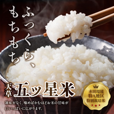 【先行受付】天草五ッ星米卵かけご飯セット(お米 5kg 卵 30個)_S061-003A