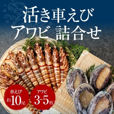 【指定日必須】活車海老とアワビ詰合せ 車海老 約10尾 アワビ 3～5枚_S002-003A