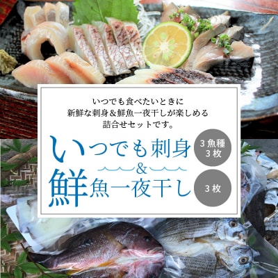 いつでも刺身 3魚種 3枚&鮮魚一夜干し 3枚セット_S059-005A