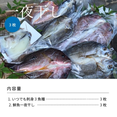 いつでも刺身 3魚種 3枚&鮮魚一夜干し 3枚セット_S059-005A