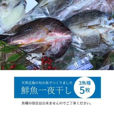 旬の鮮魚一夜干しボックス 3種5枚セット 干物_S059-007A