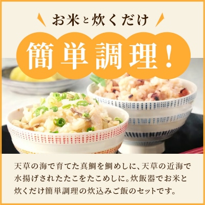 お米と炊くだけ簡単!鯛めし2P・たこめし2Pセット_S006-003