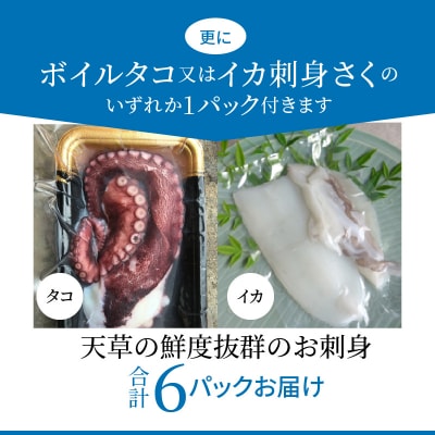わくわく刺身セットプラス_S059-009A