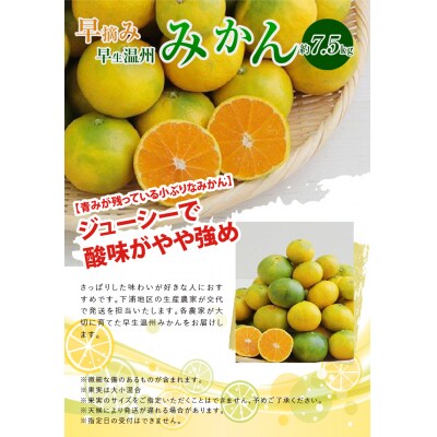 〈先行受付〉早摘み 早生温州みかん 約7.5kg _S040-020A