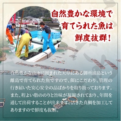真鯛お刺身用サク【5P】_S106-005A