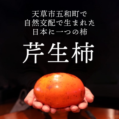 芹生柿　月ラベル　6個入り_S114-002A