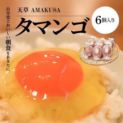 天草 タマンゴ 6個 卵_S038-001A