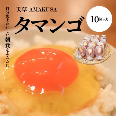 天草 タマンゴ 10個 卵_S038-004A