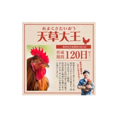 「天草大王」味付け肉 約3～4人前_S081-009A