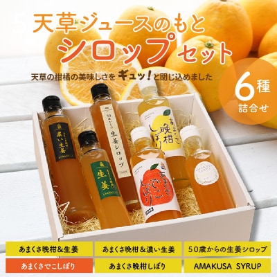 天草ジュースのもと　シロップセット_S024-006