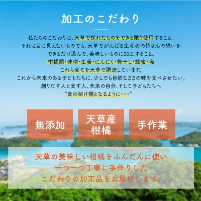 天草ジュースのもと　シロップセット_S024-006