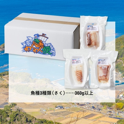 天草わくわく旬魚刺身づくし(さく)3～4人前_S059-013A