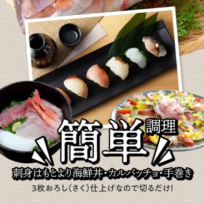 天草わくわく旬魚刺身づくし(さく)5～6人前_S059-014A