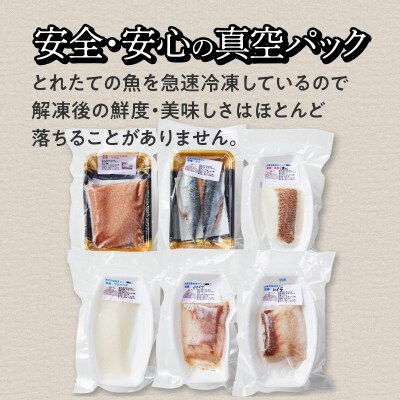 天草わくわく旬魚刺身づくし(さく)5～6人前_S059-014A