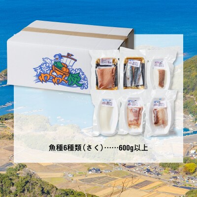 天草わくわく旬魚刺身づくし(さく)5～6人前_S059-014A