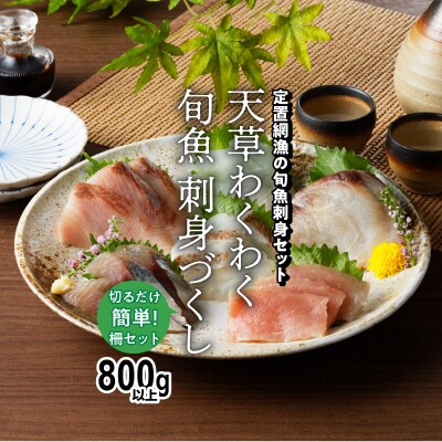 天草わくわく旬魚刺身づくし(さく)8～9人前_S059-015