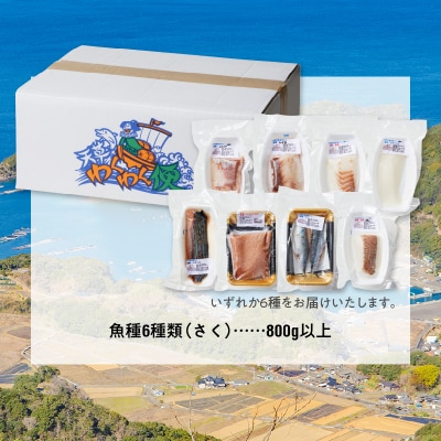 天草わくわく旬魚刺身づくし(さく)8～9人前_S059-015