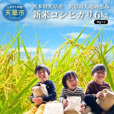 〈令和8年産〉熊本県天草産　天草の大地の恵み　新米コシヒカリ6kg【先行受付】_S108-003A