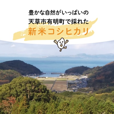 〈令和8年産〉熊本県天草産　天草の大地の恵み　新米コシヒカリ6kg【先行受付】_S108-003A