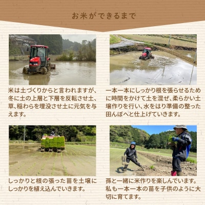 〈令和8年産〉熊本県天草産　天草の大地の恵み　新米コシヒカリ6kg【先行受付】_S108-003A
