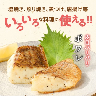 みやび鯛 切り身 8P ※1P80g(2切れ)_S124-004