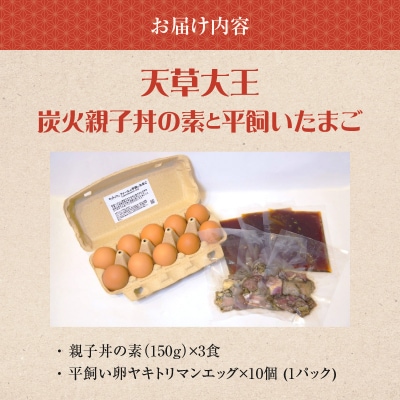 天草大王炭火親子丼の素と平飼いたまご(ヤキトリマンエッグ)_S081-014A