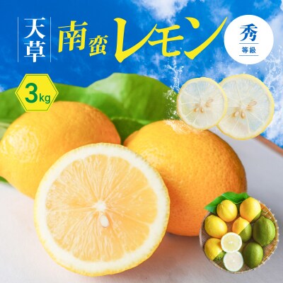 天草南蛮レモン　等級「秀」3kg_S131-003A