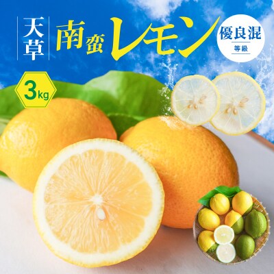 天草南蛮レモン　等級「優良混」3kg_S131-006A