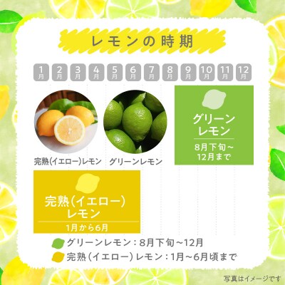 天草南蛮レモン　等級「優良混」3kg_S131-006A