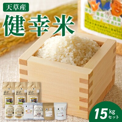 【令和8年産】健幸米15kgセット(コシヒカリ・玄米めんなど)_S067-020