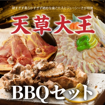 天草大王 BBQセット_S081-018