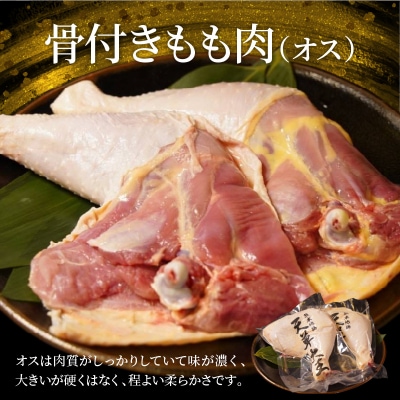 天草大王 BBQセット_S081-018