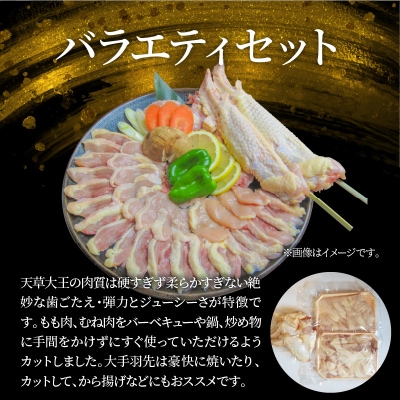 天草大王 BBQセット_S081-018