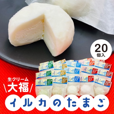 生クリーム大福 イルカのたまご 20個入り_S030-006A