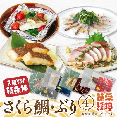 天草YO!殖魚便 ぶり さくら鯛 4種 各1パック_S042-004A