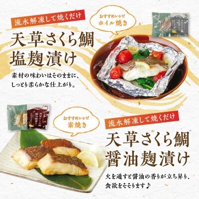 天草YO!殖魚便 ぶり さくら鯛 4種 各1パック_S042-004A