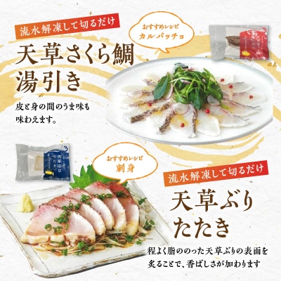 天草YO!殖魚便 ぶり さくら鯛 4種 各1パック_S042-004A