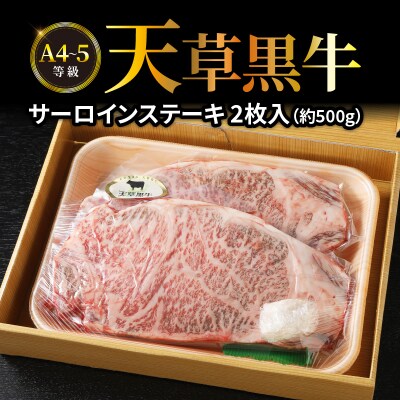 天草黒牛 サーロイン ステーキ 2枚入 約500g 黒毛和牛 A4～5等級_S074-013