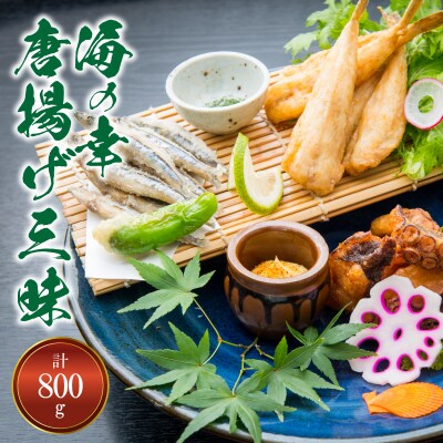 【天草産】海の幸唐揚げ三昧_S011-018A
