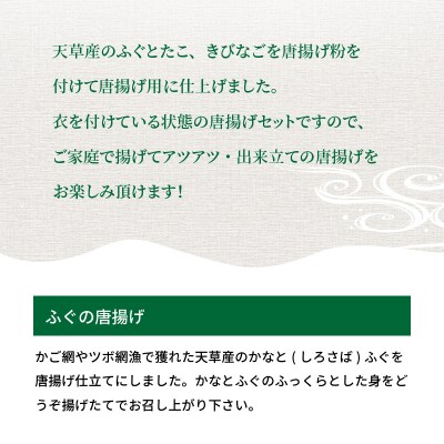 【天草産】海の幸唐揚げ三昧_S011-018A
