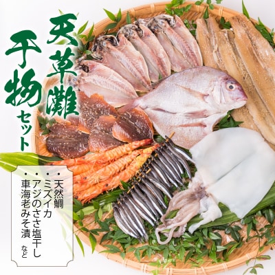 天草灘干物セット(天然鯛、ミズイカ、アジのささ塩干し・車海老みそ漬等)_S011-023A