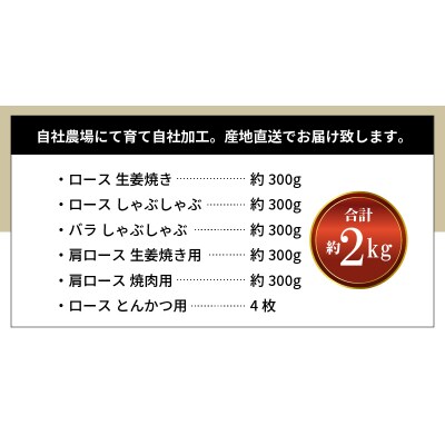 天草プレミアムポーク よりどりセット約2kg_S058-019A